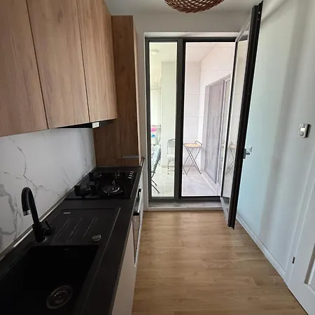 Apartment Tomis